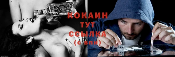 стаф Арсеньев