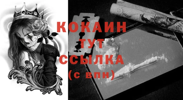 стаф Арсеньев