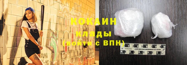 стаф Арсеньев